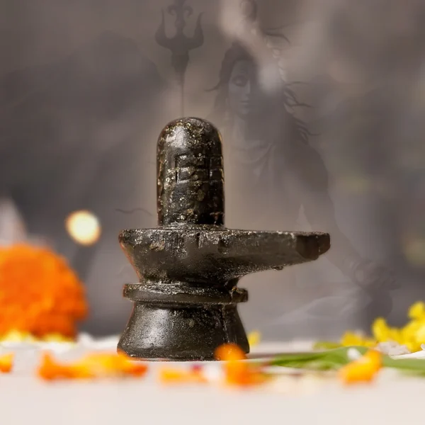 Pyrite Shivling - Image 2